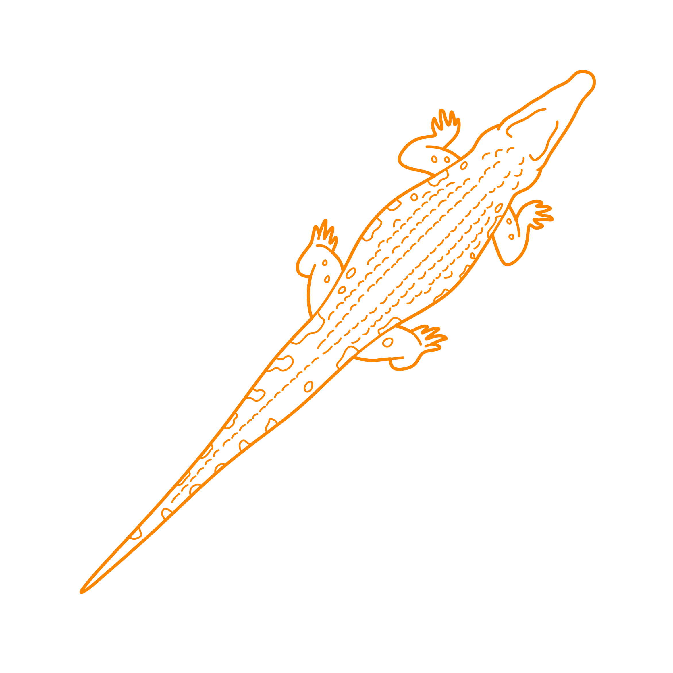 Animals Crocodilians Cuban Crocodile Line Art Illustration Svg Free Vectors